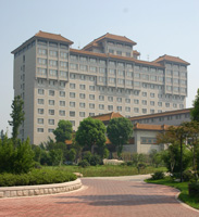 ��һ�ȼٴ�ͷ����Ĵ��